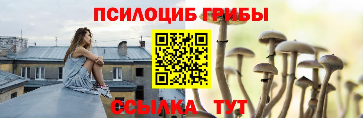 Галлюциногенные грибы Cubensis  Вход с VPN  Волжский 