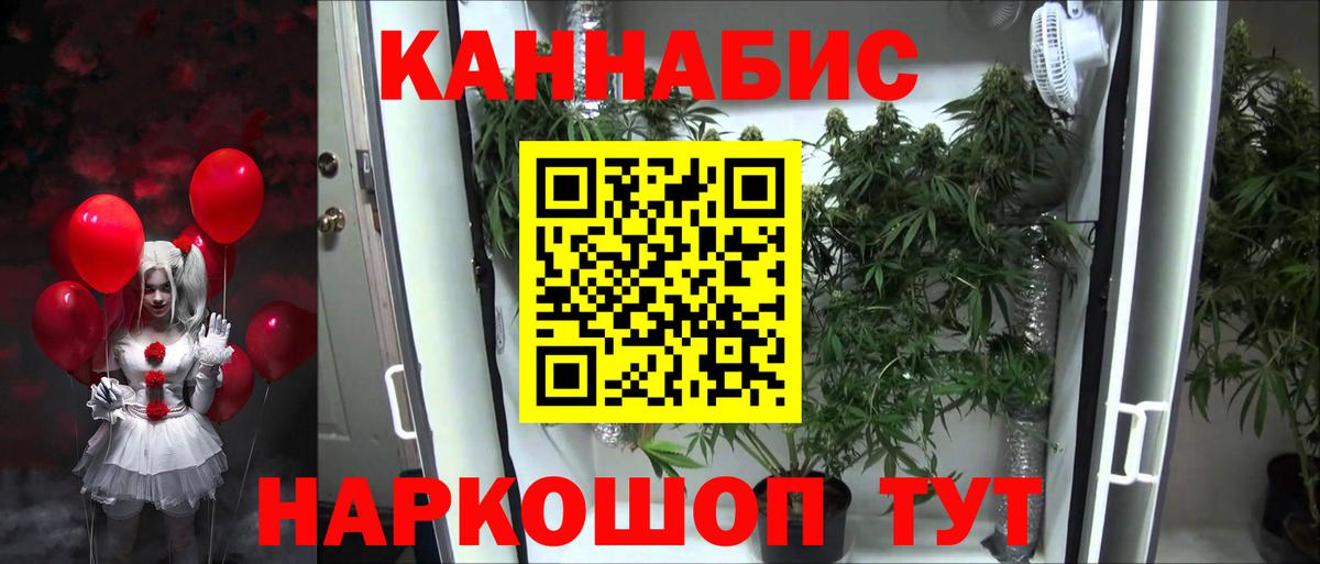 Шишки марихуана планчик  Бошки Шишки марихуана  Вход с VPN  Бошки Шишки ГИДРОПОН  Волжский 